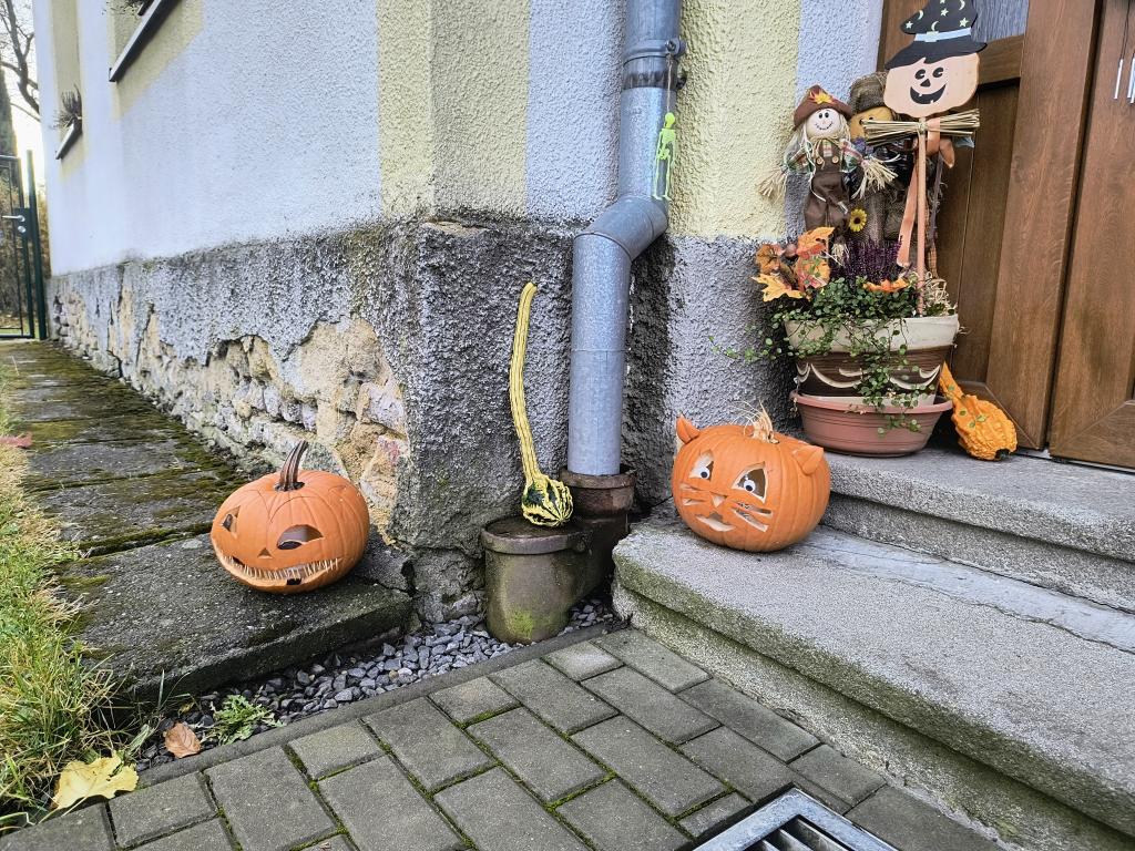 IMG_20261026_080927708_HDR_AE