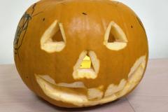 IMG_20261019_070725441_AE