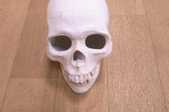 IMG_20261019_072512851_AE