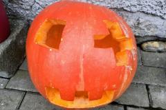 IMG_20261019_081719277_AE