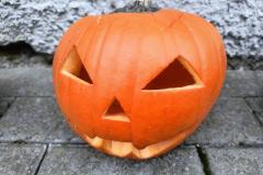 IMG_20261019_081723987_AE