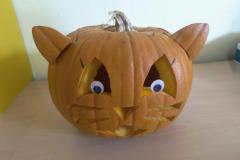 IMG_20261019_104313559_AE