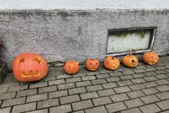 IMG_20261019_132456039_AE