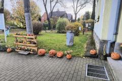 IMG_20261026_080918448_HDR_AE