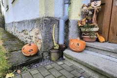 IMG_20261026_080927708_HDR_AE
