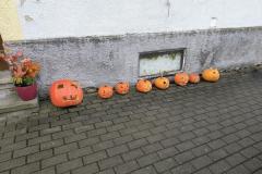 IMG_20261026_080933358_AE