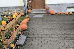 IMG_20261026_080941279_AE