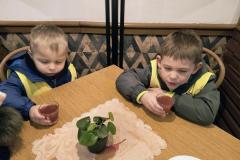 IMG_20260123_110412630_AE