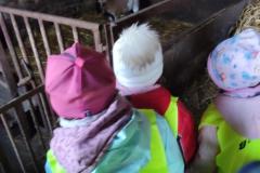 IMG_20250304_103121