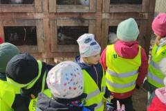 IMG_20250304_104207