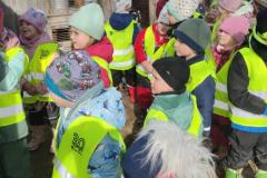 IMG_20250304_104243