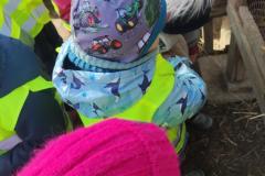 IMG_20250304_104453