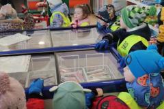 IMG_20260119_1040141