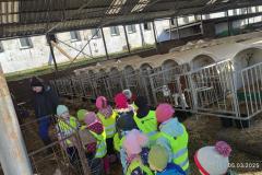IMG_20250305_104735
