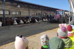 IMG_20250305_105651