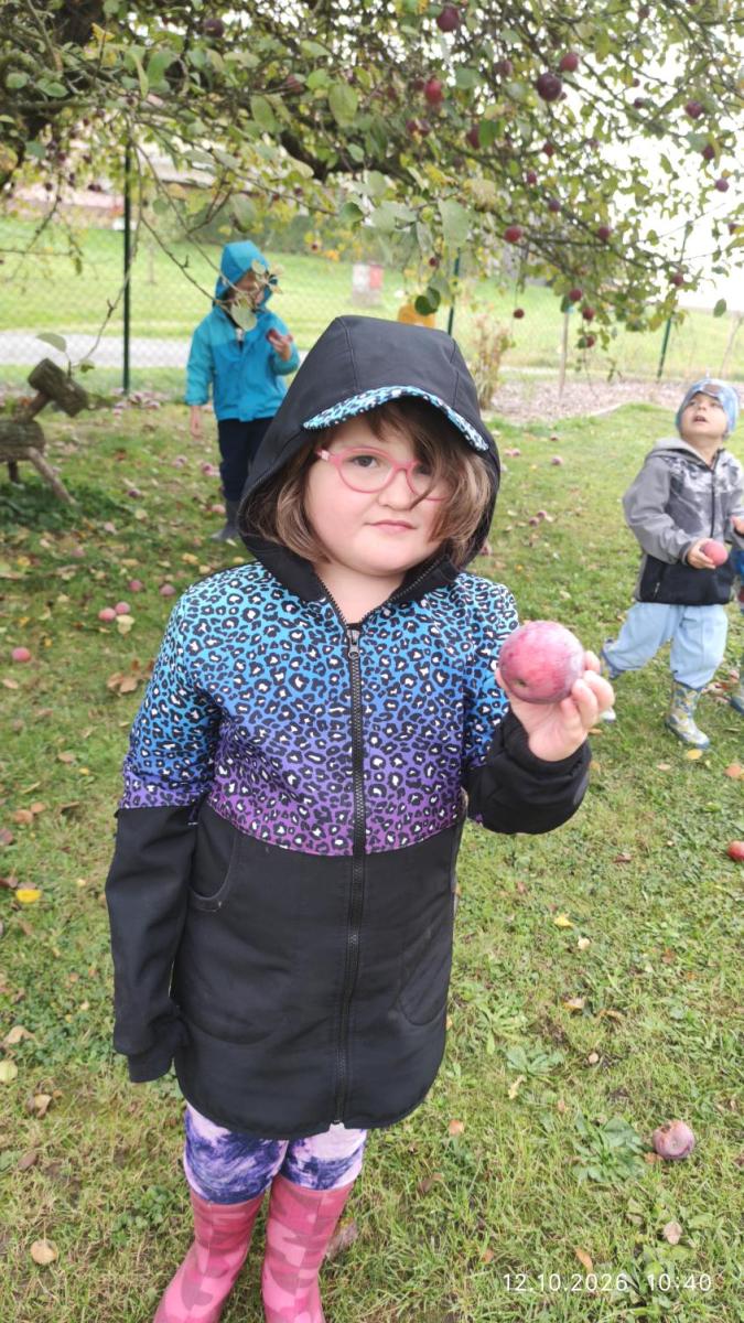 IMG_20261012_104059
