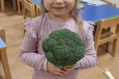 IMG_20261012_070337