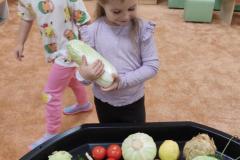 IMG_20261012_070546