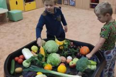 IMG_20261012_075024