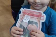 IMG_20261012_080414