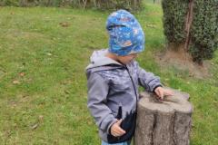 IMG_20261012_103639