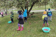 IMG_20261012_104050