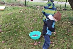 IMG_20261012_104056
