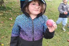 IMG_20261012_104059