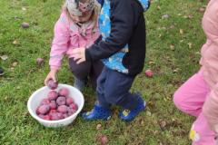 IMG_20261012_104102