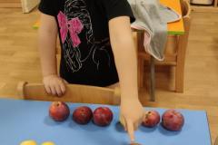 IMG_20261013_064201