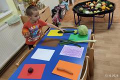 IMG_20261013_070836
