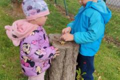 IMG_20261013_104243
