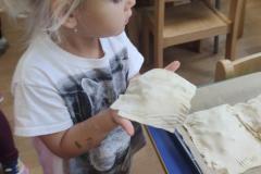 IMG_20261014_101129