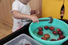 IMG_20261015_074253