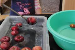 IMG_20261015_075141
