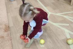IMG_20261015_075227