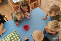IMG_20261016_090403