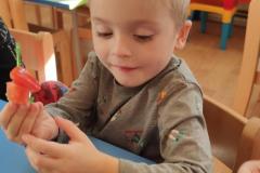 IMG_20261016_090949