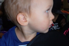 SAM_1107