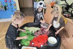 IMG_20251031_092829578_HDR_AE