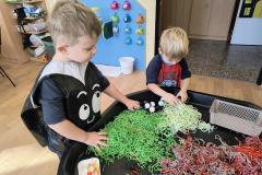 IMG_20251031_093817108_HDR_AE