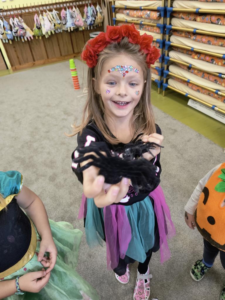 IMG_20261026_095343034_AE