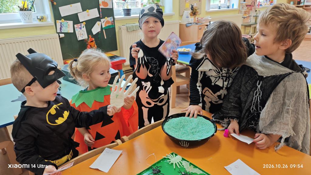 IMG_20261026_095403