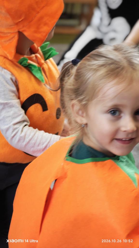 IMG_20261026_105249