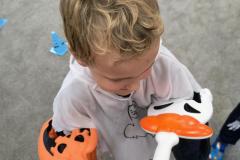 IMG_20261026_095241535_AE
