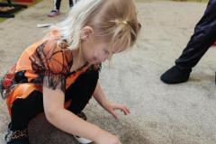 IMG_20261026_101139
