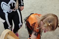 IMG_20261026_101400