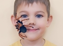 Halloweenský pavouk