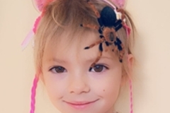 Schranka-_10-29-2025_22