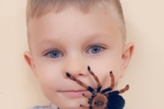 Schranka-_10-29-2025_24